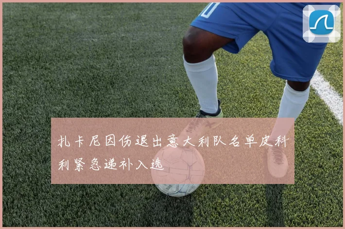 扎卡尼因伤退出意大利队名单皮科利紧急递补入选