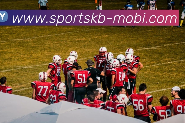 App Interface Preview