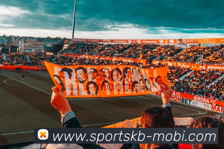 KB体育APP 封面图